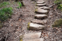 Ancient trods in Arncliffe Wood