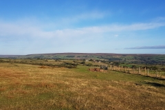 View from Glaisdale moorland path