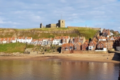Whitby-6