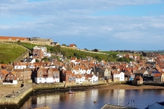 Whitby-7