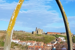 Whitby-8